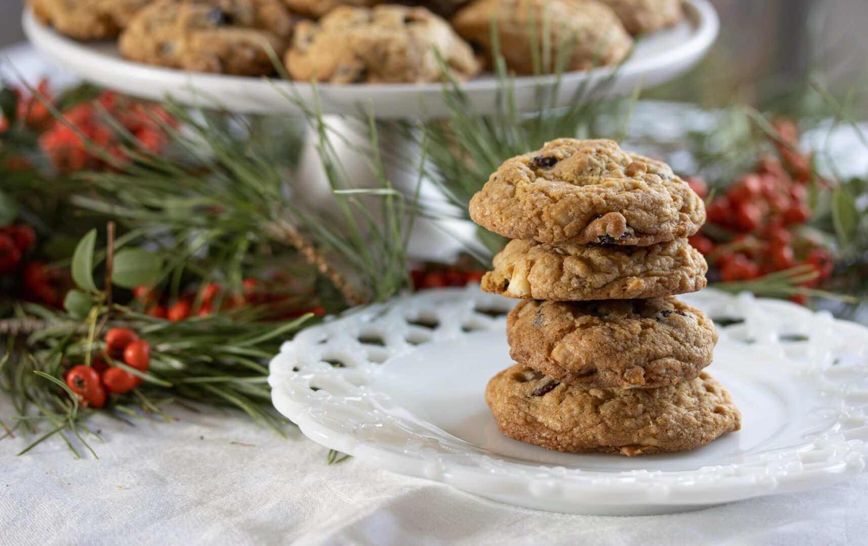 dried cranberry and chocolate cookies