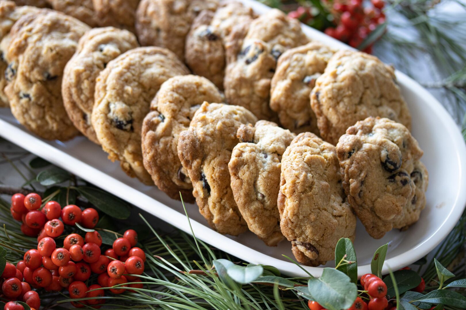 dried cranberry and chocolate cookies