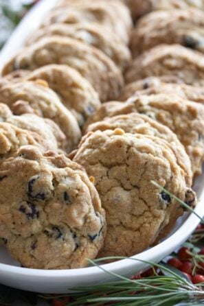 dried cranberry and chocolate cookies