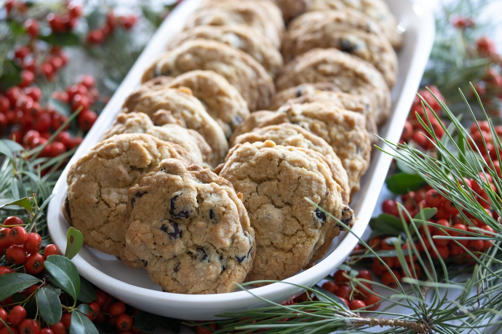 dried cranberry and chocolate cookies