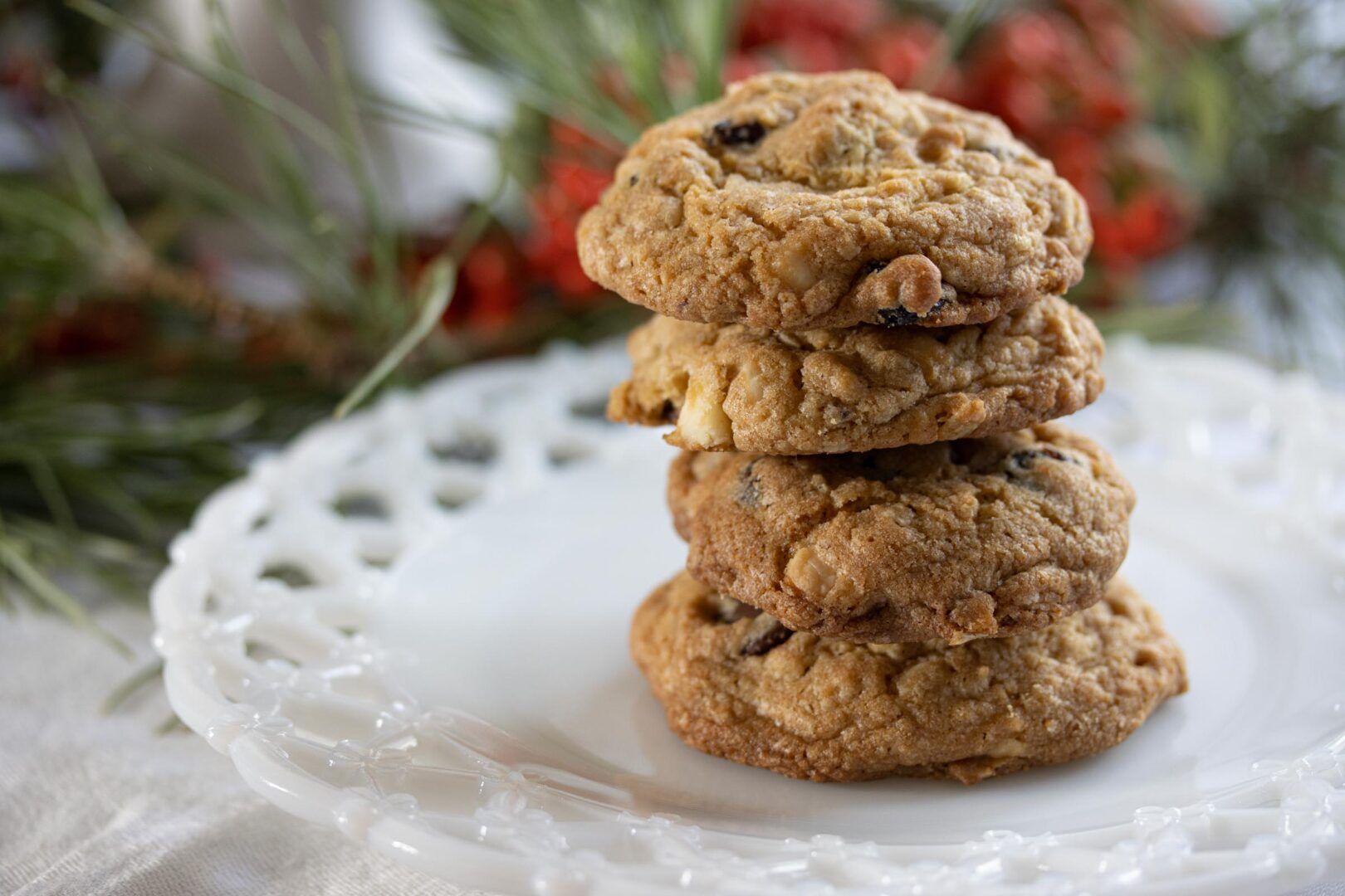 dried cranberry and chocolate cookies