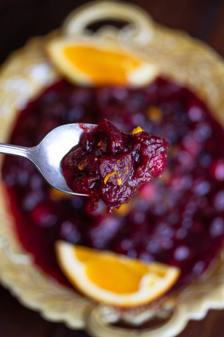 cranberry chutney with red wine on a spoon