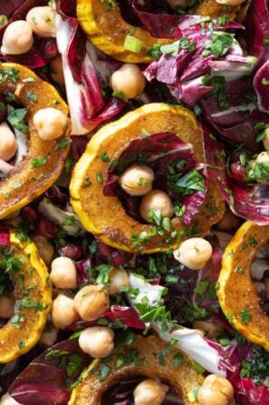 delicata squash, radicchio, and garbanzo salad