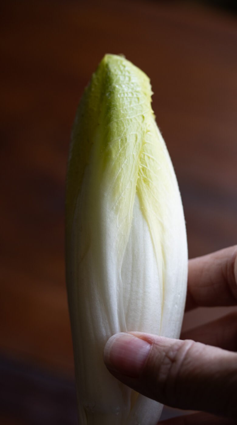 Belgian endive avocado salad single to show how tight the leaves have to be