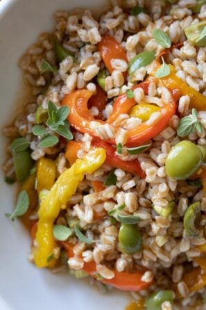 roasted bell pepper & Italian Farro Salad