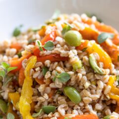 roasted bell pepper & Italian Farro Salad