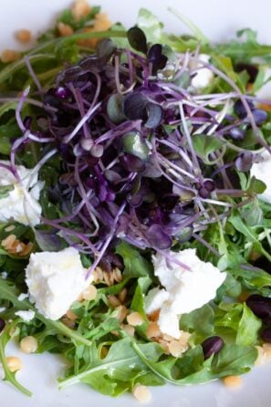 Lentils, Black Beans, Goat Cheese and Baby Green Salad