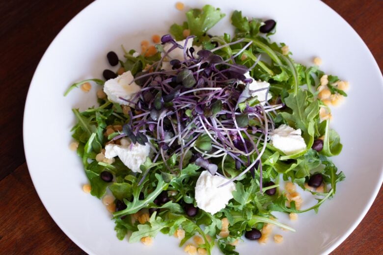 crimson lentils with black beans with aragula salad, goat cheese on a white serving plate