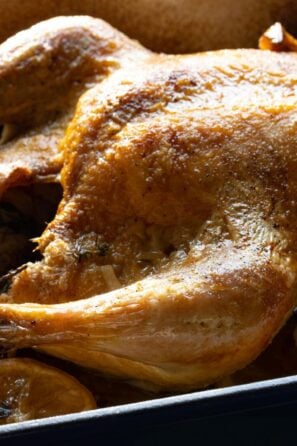 roasted chicken